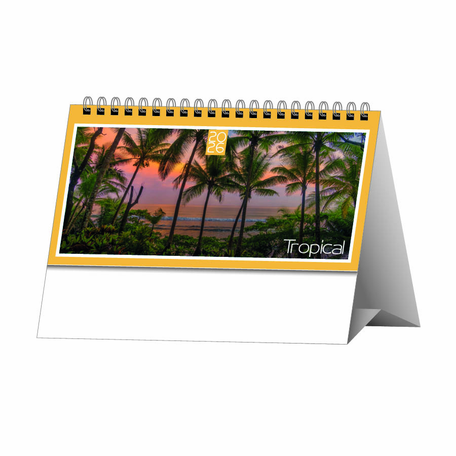 CT350_26.jpg CT350_26.jpg