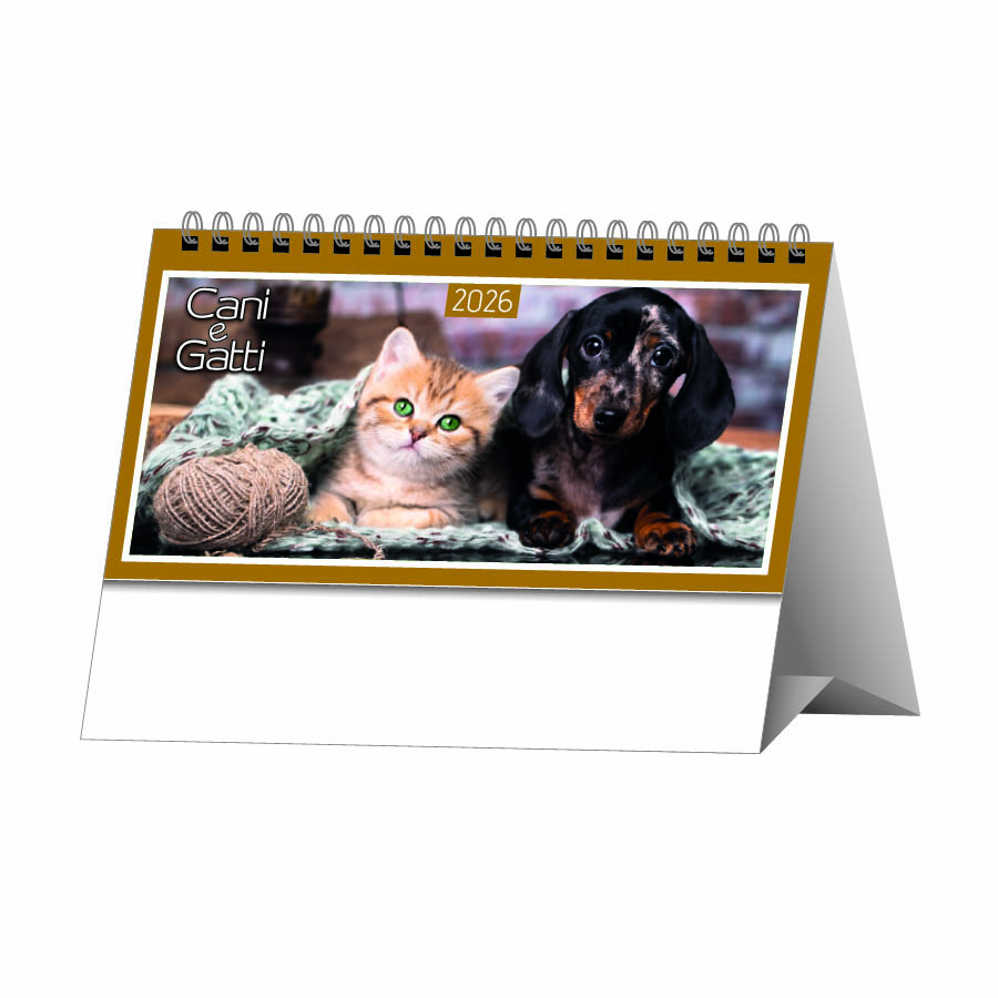 CT700_26.jpg CT700_26.jpg